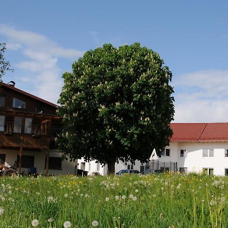 Ferienhof Hopfgaertle Mueller Bodnegg Экстерьер фото