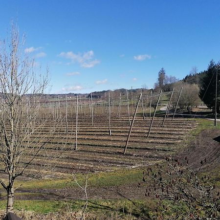 Ferienhof Hopfgaertle Mueller Bodnegg Экстерьер фото