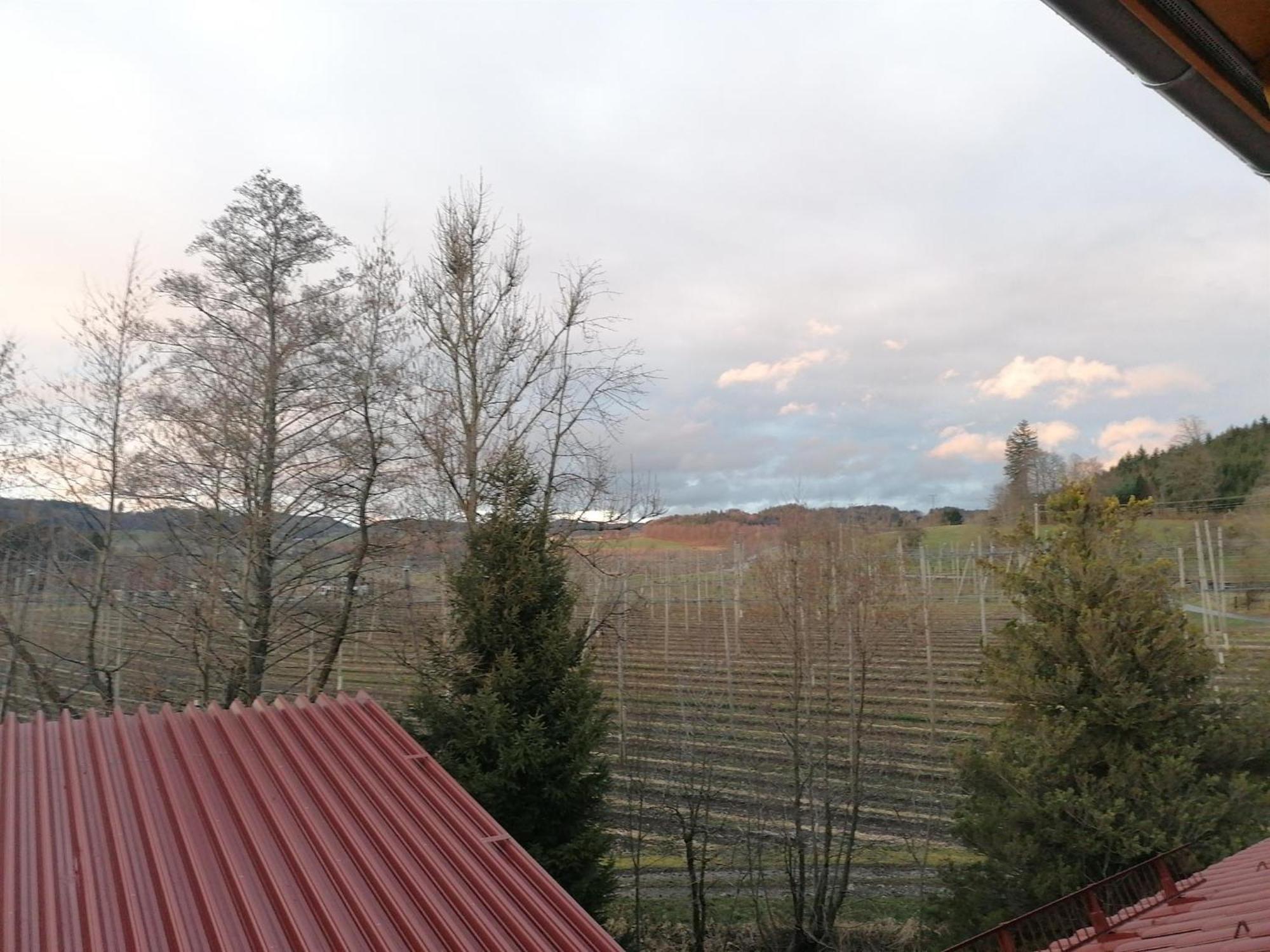 Ferienhof Hopfgaertle Mueller Bodnegg Номер фото